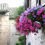 Hotel Hotel Palazzo Brunamonti