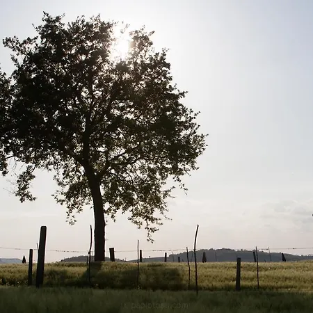 Palazzo Brunamonti Hotel 3*
