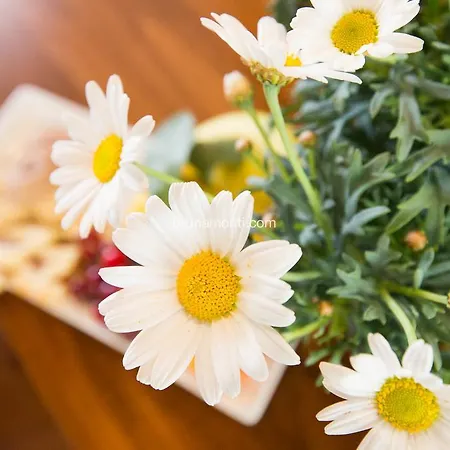 Palazzo Brunamonti Bevagna