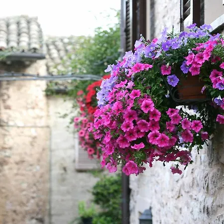 Hotel Palazzo Brunamonti