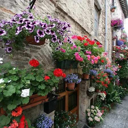 Hotel Palazzo Brunamonti Hotel Bevagna