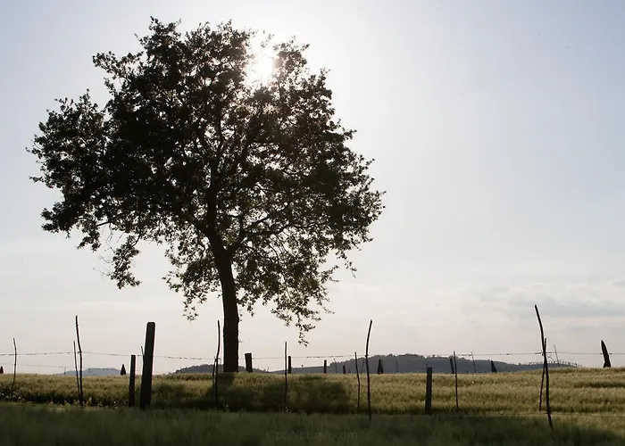 Palazzo Brunamonti Hotel 3*