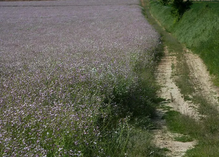 Palazzo Brunamonti 3* Bevagna