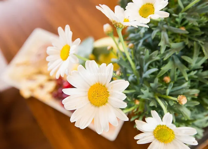 Palazzo Brunamonti Bevagna