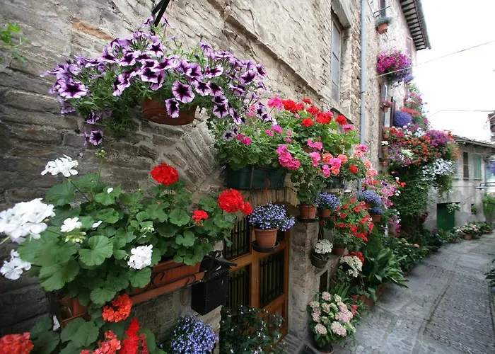 Palazzo Brunamonti Hotel Bevagna